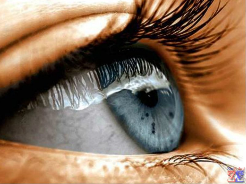 Показания к применению Траватана: открытоугольная глаукома и офтальмотонус Показания к применению Траватана: открытоугольная глаукома и офтальмотонус