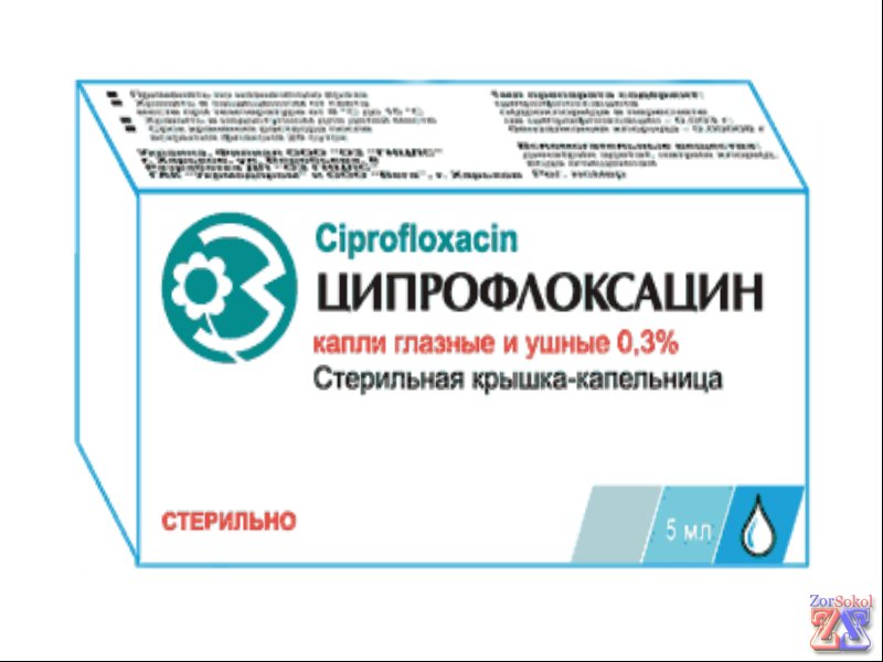 Ципрофлоксацин обладает бактерицижными свойствами Ципрофлоксацин обладает бактерицидными свойствами
