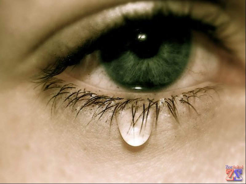 При лечении нежелательно носить контактные линзы При лечении нежелательно носить контактные линзы