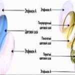 Расположение слоев цветной КЛ Расположение слоев цветной КЛ