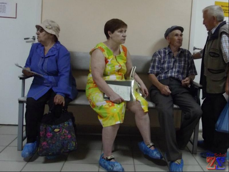 Анализы можно сделать платно и бесплатно Анализы можно сделать платно и бесплатно