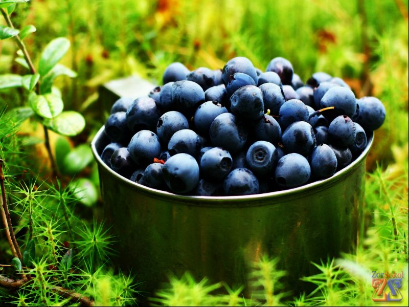 Нужно пересмотреть свое питание Нужно пересмотреть свое питание