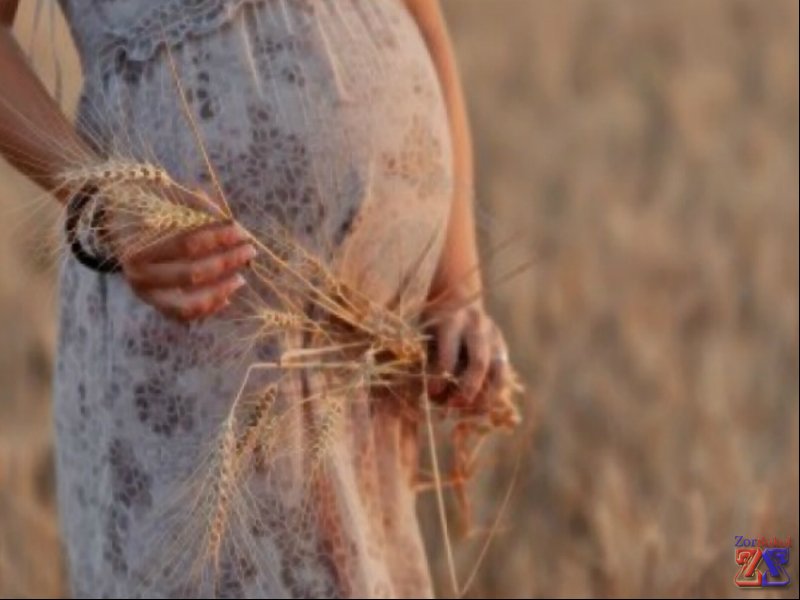 На толкование снов влияют разные факторы На толкование снов влияют разные факторы