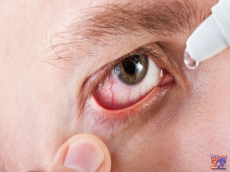 1 капля 3 раза в день 1 капля 3 раза в день