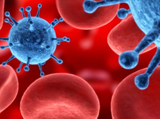 Вирусы и инфекции